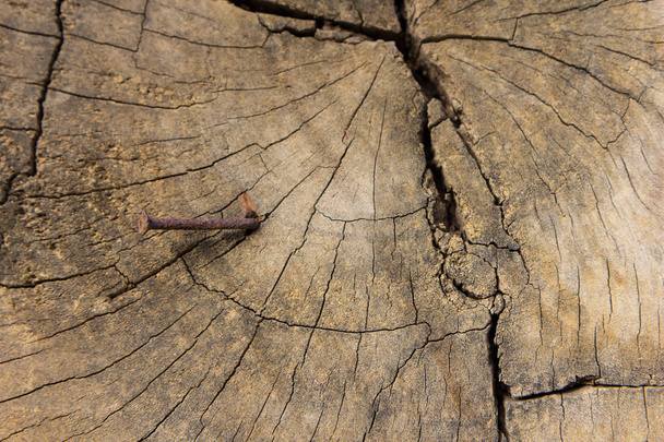 Old wood texture, vintage natural  - Foto, Bild