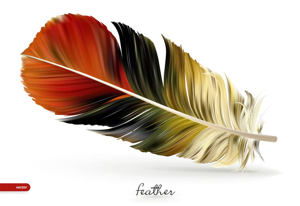 Realistic feathers - vector illustration. Isolated on white background - Vector, Image