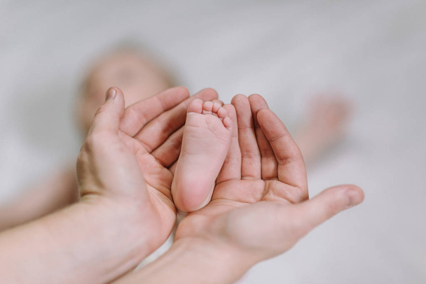 Baby feet in the hands of mother - cute newborn in the hands of mum - happy family moments - Foto, Imagem
