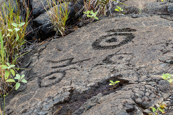 Petroglyfit Pu 'uloassa (Long Hill) Kraatteriketjun varrella tulivuoren kansallispuistossa Havaijin saarella. Pyhä sivusto monille syntyperäisille perheille, se on suurin valikoima kalliopiirroksia Havaijilla. Piirustukset ovat 400-700 vuotta vanhoja
. - Valokuva, kuva