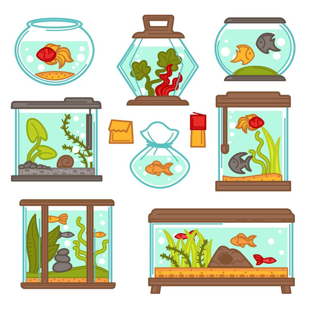 Underwater animal aquarium fishes seaweed indoor decoration or pet vector isolated glass containers feeding and cleaning fish in pack plants and pebble exotic species food red black and gold. - Vetor, Imagem