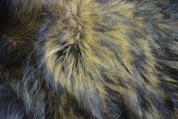 Fondo estructural animado, pelo de perro inusual marrón con fibras de lana largas y negras
 - Foto, Imagen