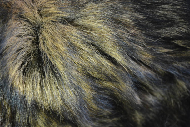 Levendige structurele achtergrond, ongewone hond haar bruin met zwart, lang wol vezels - Foto, afbeelding