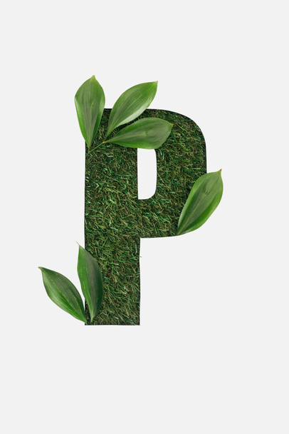 top view of cut out P letter on green grass background with green leaves isolated on white - Photo, Image
