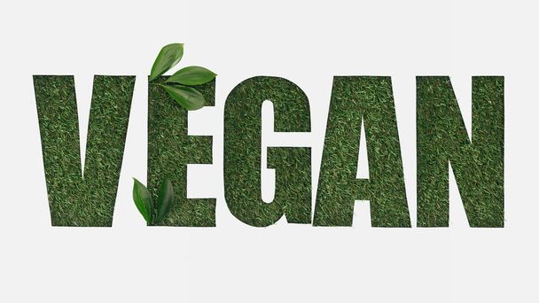 top view of cut out vegan lettering on green grass background with leaves isolated on white - Photo, Image