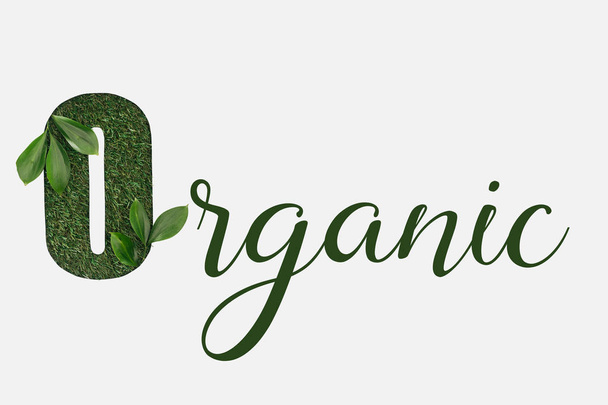 top view of green organic lettering with leaves isolated on white - Фото, зображення