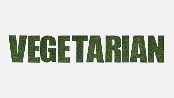 top view of cut out vegetarian lettering on green grass isolated on white - Foto, afbeelding
