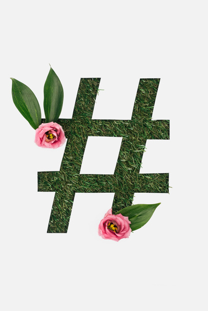 Draufsicht der ausgeschnittenen Hashtag-Zeichen auf grünem Gras Hintergrund mit Blättern und rosa Pfingstrosen isoliert auf weiß - Foto, Bild