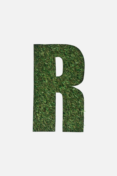 top view of cut out R letter on green grass background isolated on white - Foto, immagini