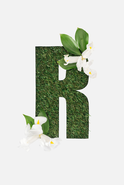 top view of cut out R letter on green grass background with leaves and white flowers isolated on white - Фото, изображение