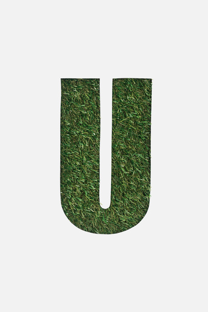 top view of cut out U letter on green grass background isolated on white - Foto, afbeelding