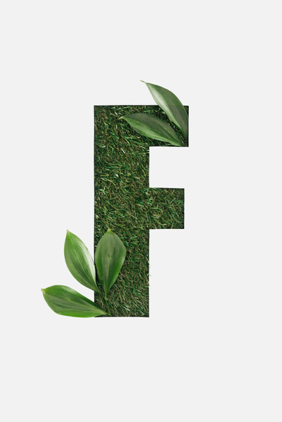 κάτοψη του αποκόπτονται γράμμα F σε φόντο πράσινο γρασίδι με φύλλα που απομονώνονται σε λευκό - Φωτογραφία, εικόνα