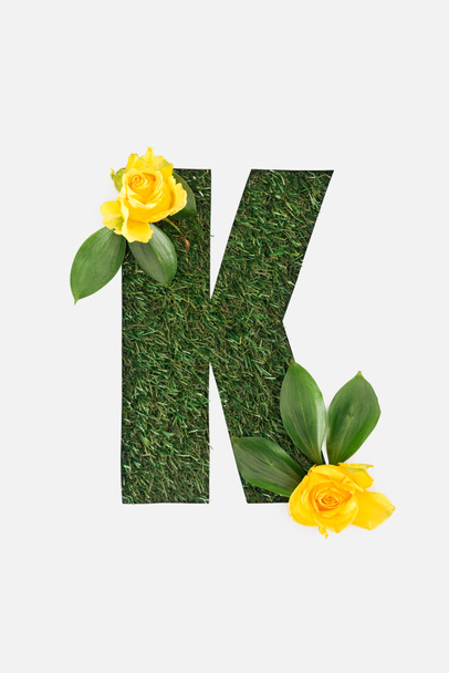 top view of cut out K letter on green grass background with leaves and yellow roses isolated on white - Zdjęcie, obraz