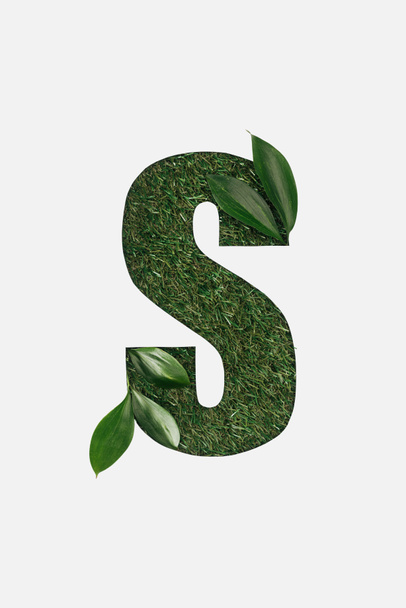 felülnézete S betű kivágott levelekkel elszigetelt fehér zöld fű háttér - Fotó, kép