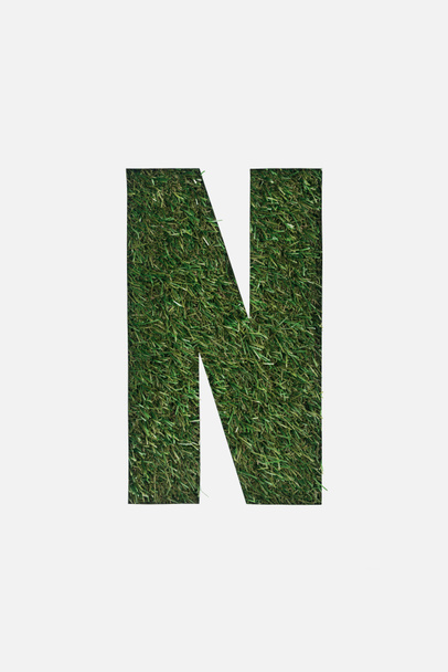 top view of cut out N letter on green grass background isolated on white - Fotografie, Obrázek