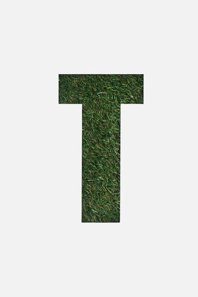 top view of cut out T letter on green grass background isolated on white - Φωτογραφία, εικόνα