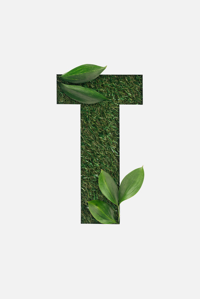 Draufsicht des ausgeschnittenen T-Briefs auf grünem Gras Hintergrund mit isolierten Blättern auf weißem Hintergrund - Foto, Bild