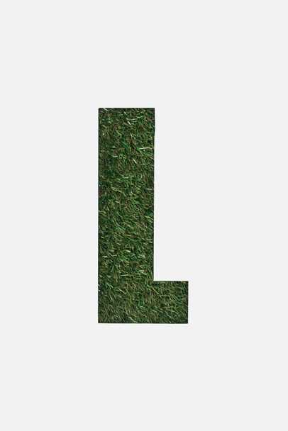 top view of cut out L letter on green grass background isolated on white - Фото, зображення