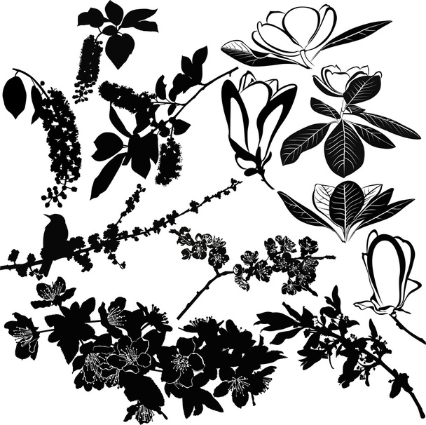 Collection of flowers - Vector, Image