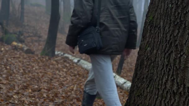 男が木に触れるし、密な霧の中に行く - 映像、動画