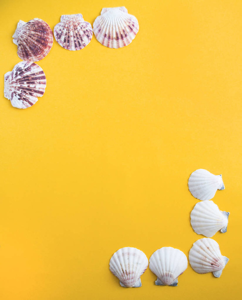 Seashells in the corners of the yellow background - Φωτογραφία, εικόνα