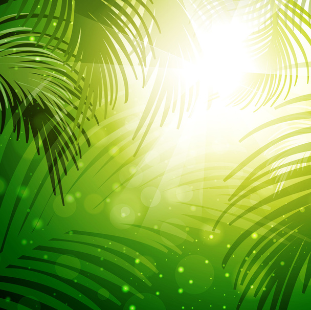 palmiye yaprakları - Vektör, Görsel