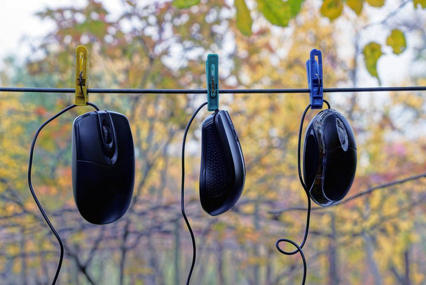 Trzy czarne myszy na ulicy na drut na clothespins - Zdjęcie, obraz