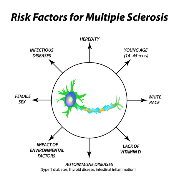 Risk factors for multiple sclerosis. The destruction of the myelin sheath on the axon. Damaged myelin. World Multiple Sclerosis Day. Infographics. Vector illustration on isolated background. - Vector, Image