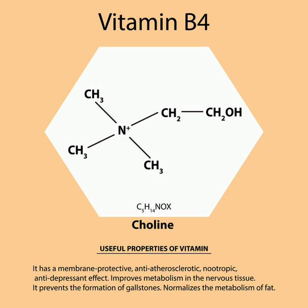 Vitamina B4. Colina Formula chimica molecolare. Proprietà utili di vitamina. Infografica. Illustrazione vettoriale su sfondo isolato
. - Vettoriali, immagini