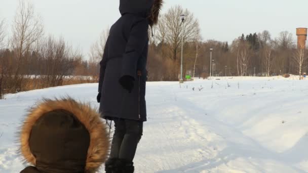 Η μητέρα σέρνοντας το έλκηθρο με το παιδί την κρύα μέρα του χειμώνα - Πλάνα, βίντεο