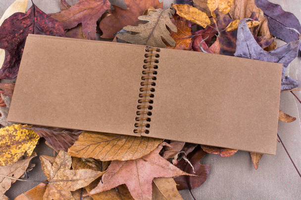otevřete prázdnou notebook s podzimní listí  - Fotografie, Obrázek