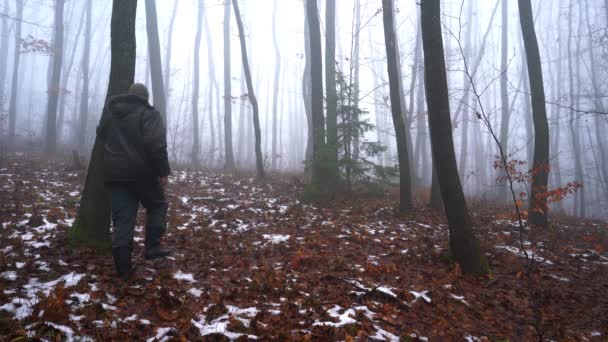 Karlı ormanda yürüyen adam ve sis gider - Video, Çekim
