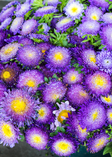 belo buquê de flores  - Foto, Imagem