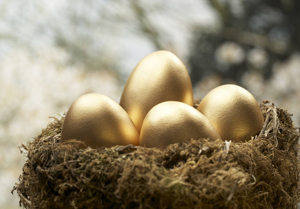FOUR GOLD EGGS IN  BIRDS NEST - Photo, Image