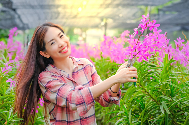Women Asian cutting pink orchids in the garden for sale With a h - Photo, Image