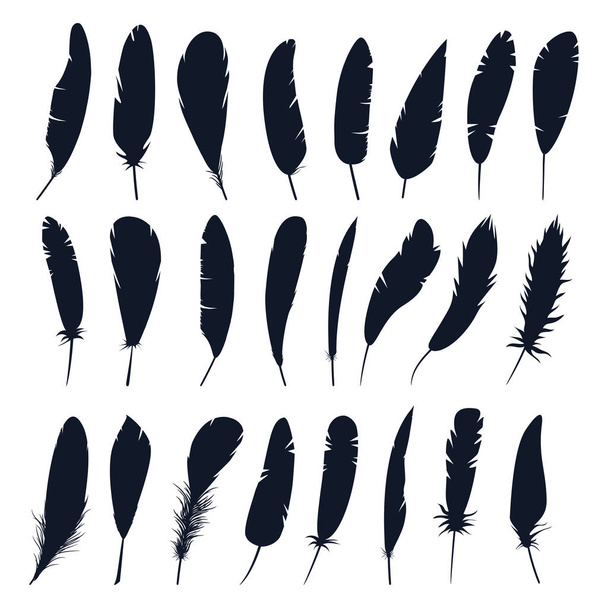 Set of isolated feather silhouette of bird.Plumage - Vector, Image