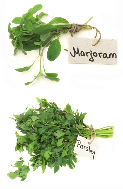 Brunches of marjoram and parsley - Photo, Image