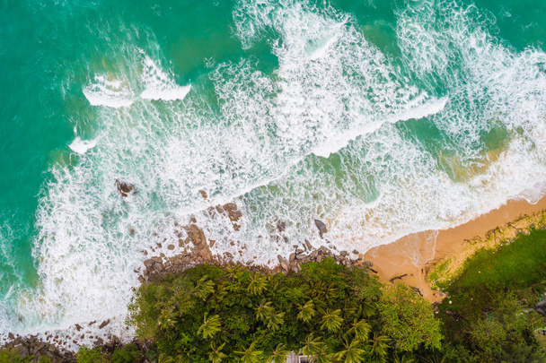 波と緑の木と海浜の航空写真 - 写真・画像