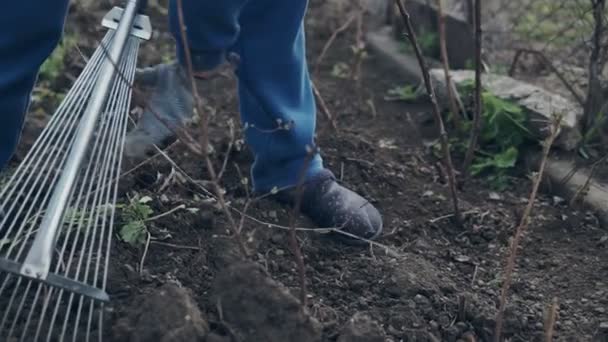 Női farmer, segítségével a rake, a szint a barna erdőtalajok a kertben - Felvétel, videó