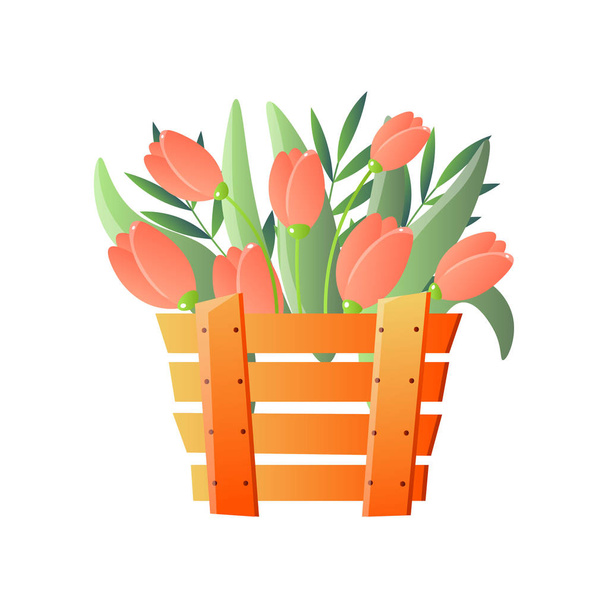 Red tulips in wooden box isolated on white background - Vektor, kép