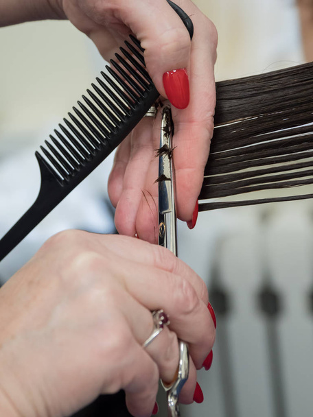 The technique of cutting hair with scissors. - Foto, afbeelding