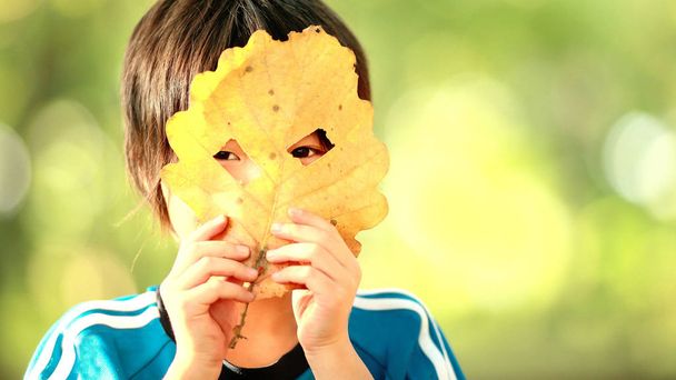 αγόρι απόκρυψη πρόσωπο από φύλλα - Φωτογραφία, εικόνα