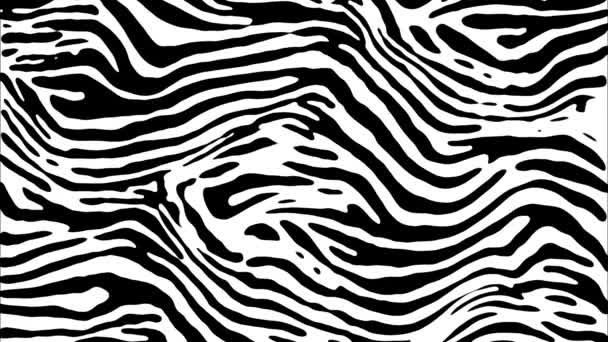 Zwart-wit zebra patroon warp animatie. - Video