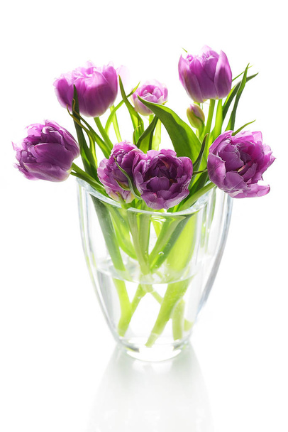 rosa Pfingstrosen in der Vase isoliert auf weißem Hintergrund - Foto, Bild