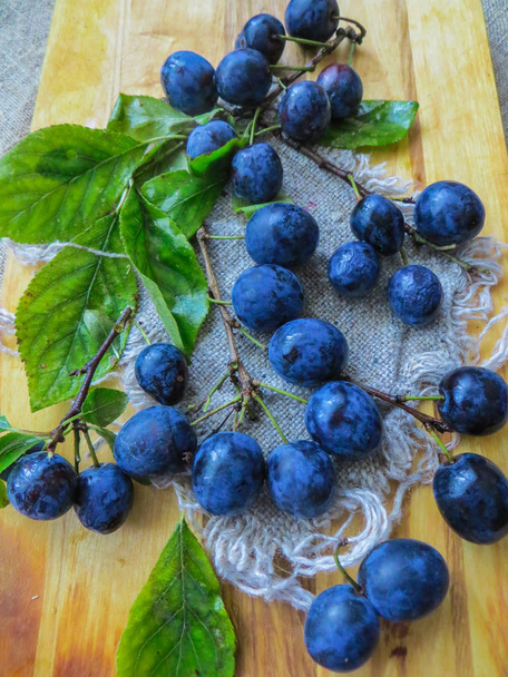 Ciruelas frescas de color azul oscuro esparcidas sobre la mesa
. - Foto, imagen