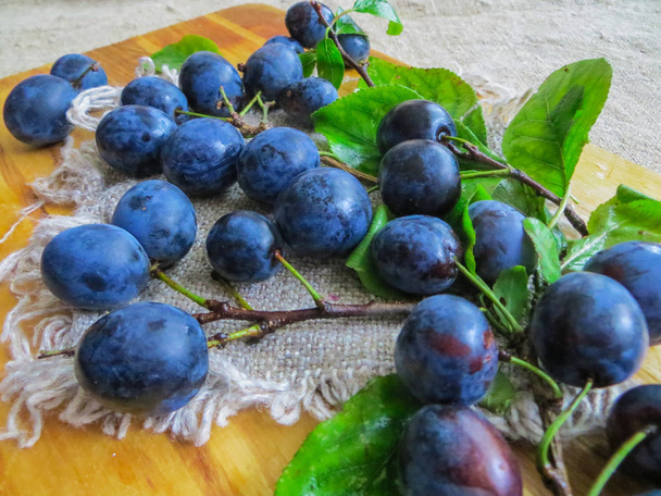 Ciruelas frescas de color azul oscuro esparcidas sobre la mesa
. - Foto, imagen