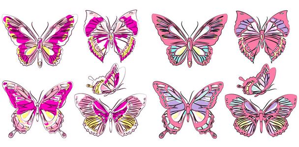 Set of bright colorful butterflies isolated on white background - Vector, imagen