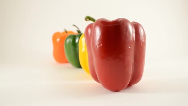 rood, geel, groen en oranje paprika's tegen Wit - lijn arrangement - dolly juiste - Video