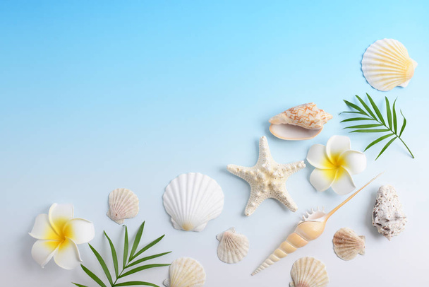 Sea shells with flowers - Photo, Image