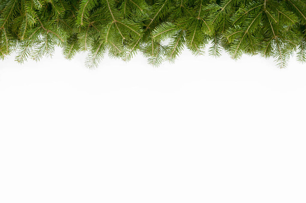 Wide Christmas border arranged with fresh fir branches isolated  - 写真・画像
